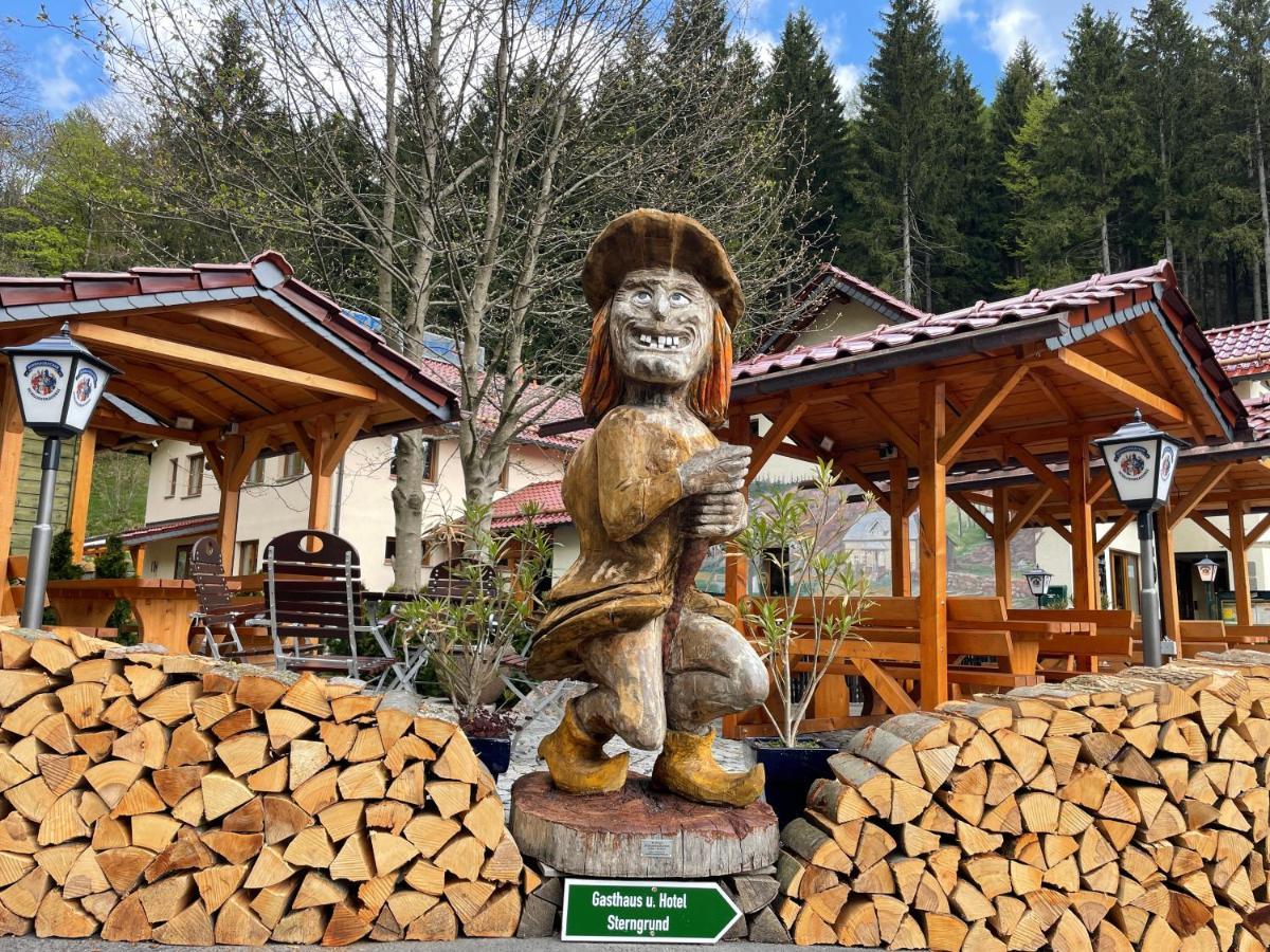 Hotel & Gasthaus Sterngrund Zella-Mehlis Eksteriør bilde