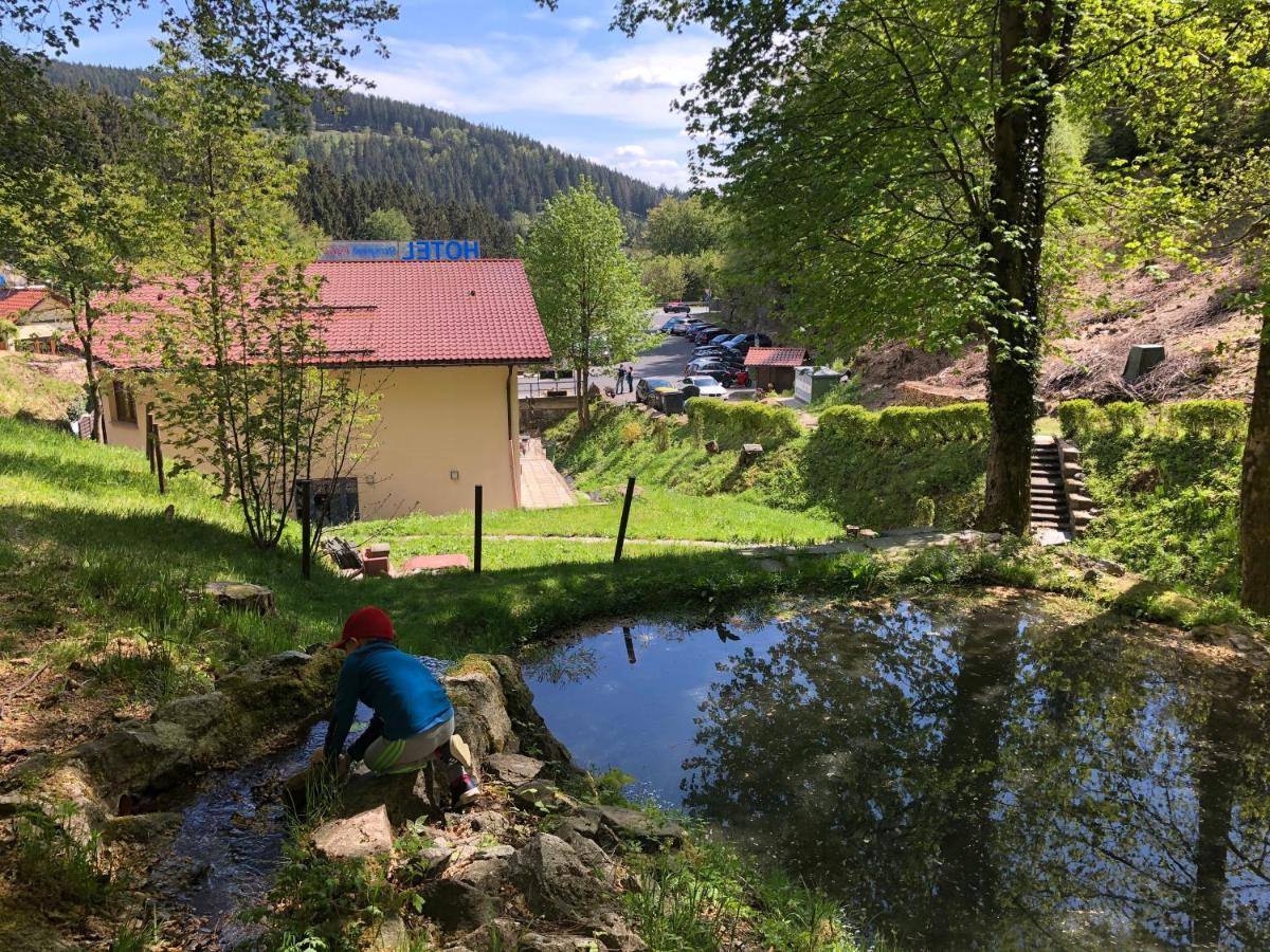Hotel & Gasthaus Sterngrund Zella-Mehlis Eksteriør bilde