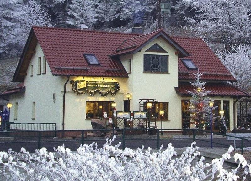 Hotel & Gasthaus Sterngrund Zella-Mehlis Eksteriør bilde